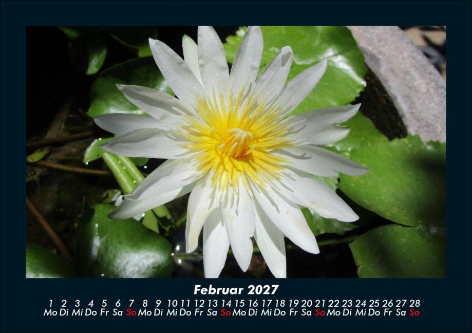 InsideView 6