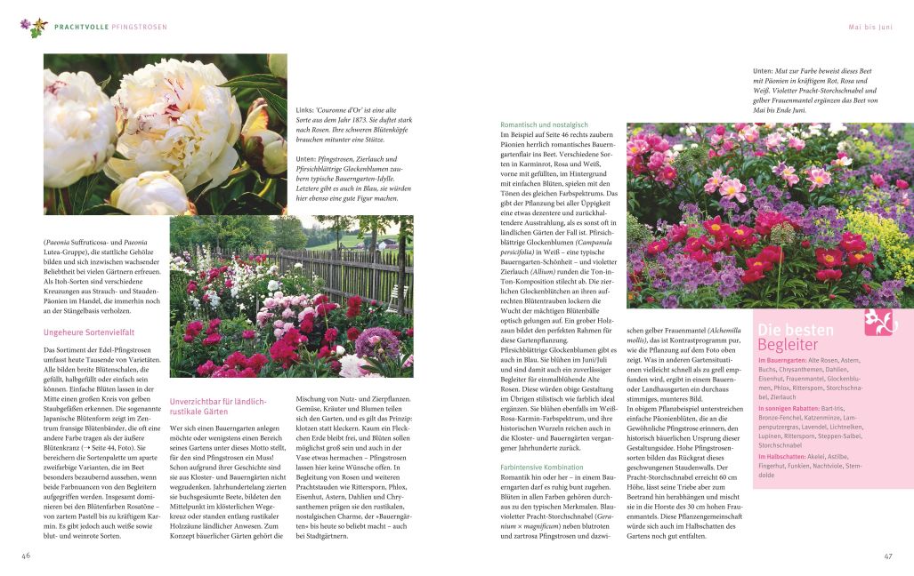 InsideView 5