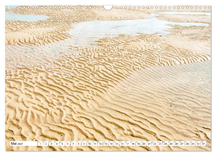 InsideView 10