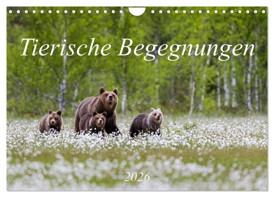 Tierische Begegnungen (Wandkalender 2026 DIN A4 quer), CALVENDO Monatskalender - Daniela Beyer (Moqui)