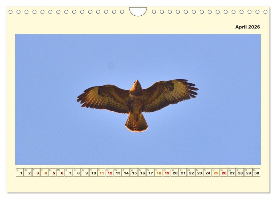 InsideView 9