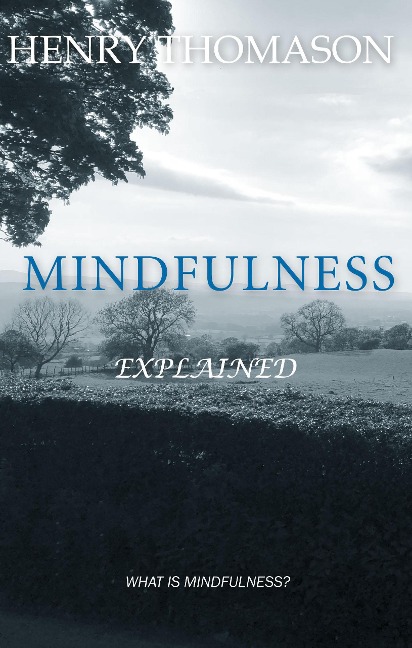 Mindfulness Explained - Henry Thomason