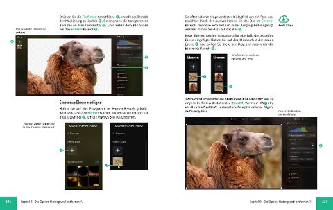 InsideView 8