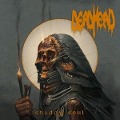 Cover-Bild zum Titel 'Shadow Soul' von 'Dead Head'