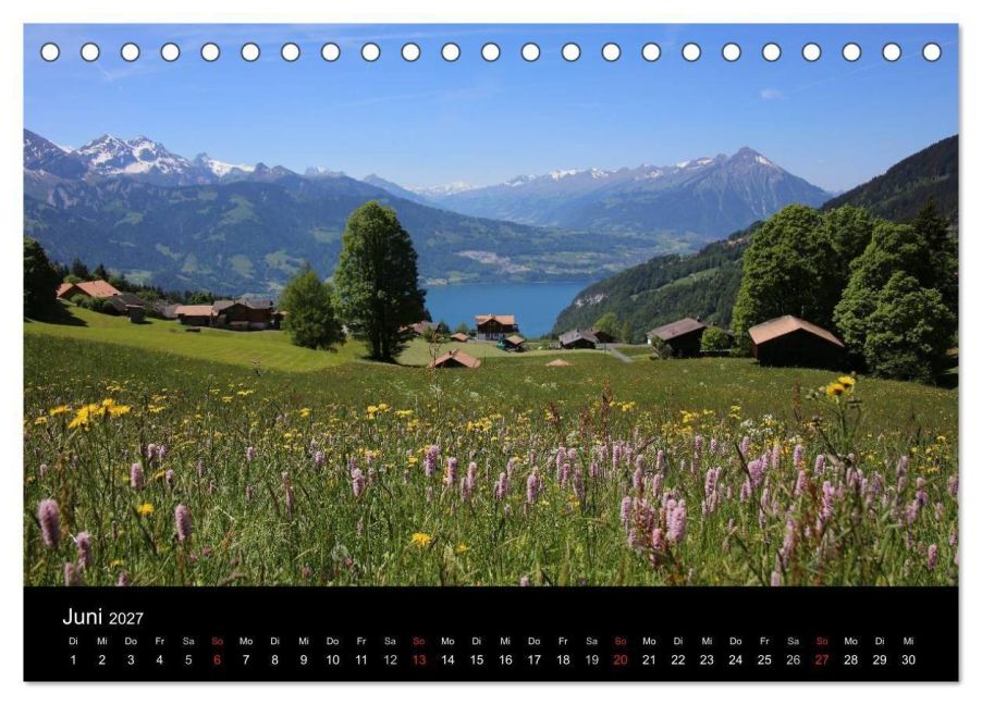 InsideView 8