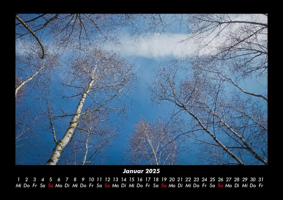 InsideView 5