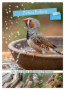 Cover-Bild zum Titel 'Zebrafinken - Ein Jahr voller gefiederter Momente (Wandkalender 2026 DIN A2 hoch), CALVENDO Monatskalender' von 'Stanley Hinz'