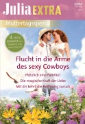 Cover-Bild zum Titel 'Julia Extra Band 533' von 'Jennifer Faye, Hana Sheik, Kate Hardy, Emily Forbes'