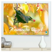 Cover-Bild zum Titel 'Amsel, Fink und Star: Heimische Vögel (hochwertiger Premium Wandkalender 2027 DIN A2 quer), Kunstdruck in Hochglanz' von 'Calvendo'