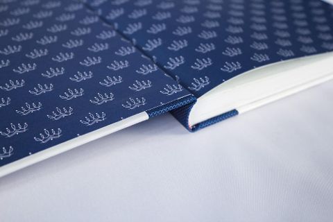 InsideView 20