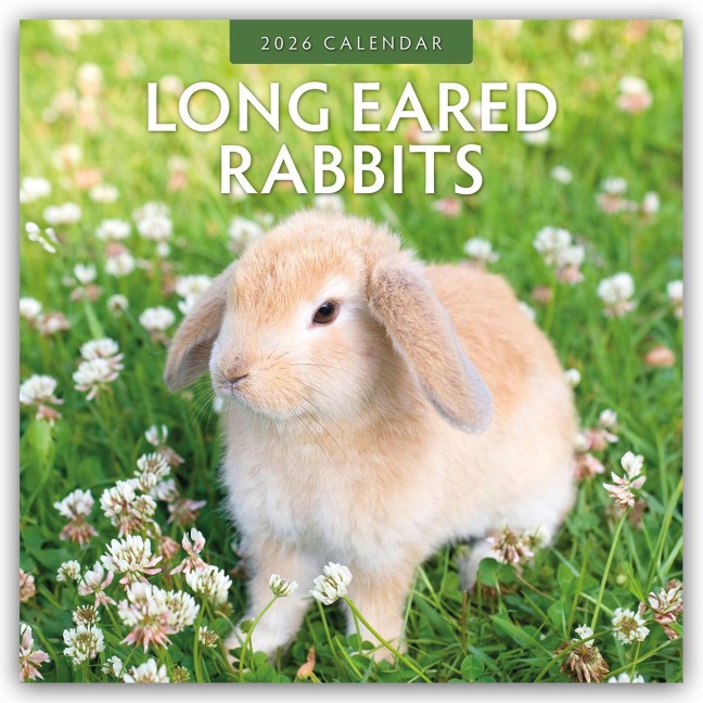 Long Eared Rabbits - Langohrhasen 2026 - 16-Monatskalender - Robin Red