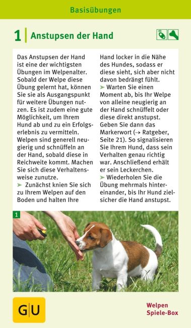 InsideView 8