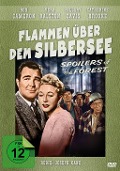 Flammen über dem Silbersee - Bruce Manning