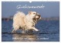 Glücksmomente - Unterwegs mit meinem Islandhund (Wandkalender 2024 DIN A3 quer), CALVENDO Monatskalender - Monika Scheurer