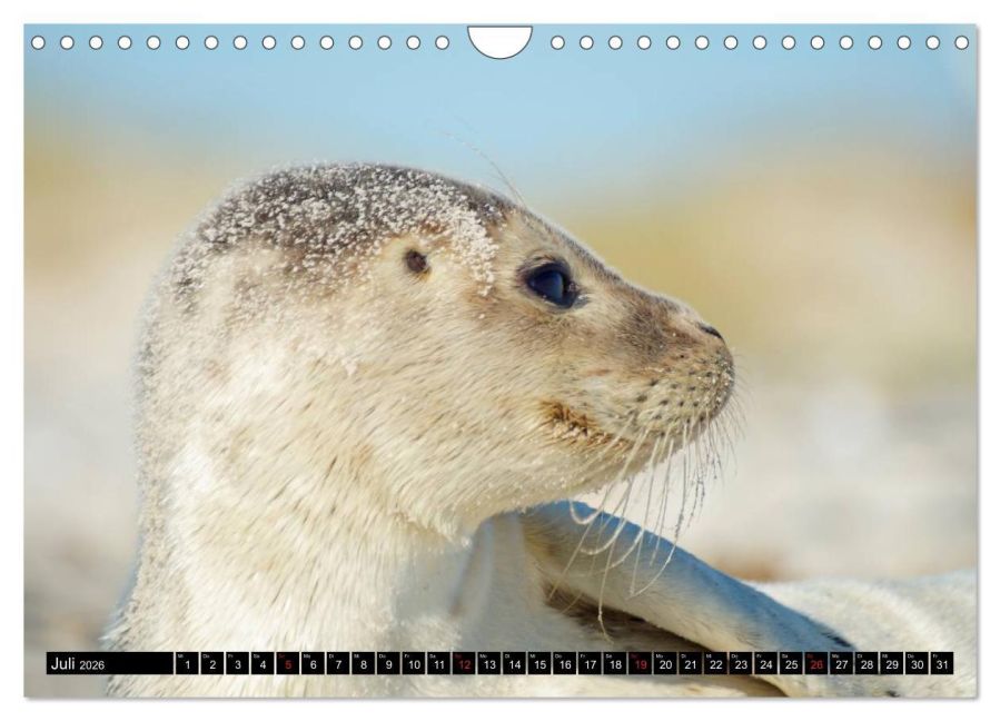 InsideView 12
