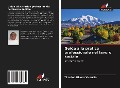 Cover-Bild zum Titel 'Guida alla pratica professionale nel lavoro sociale' von 'Timoteo Rivera Vicencio'