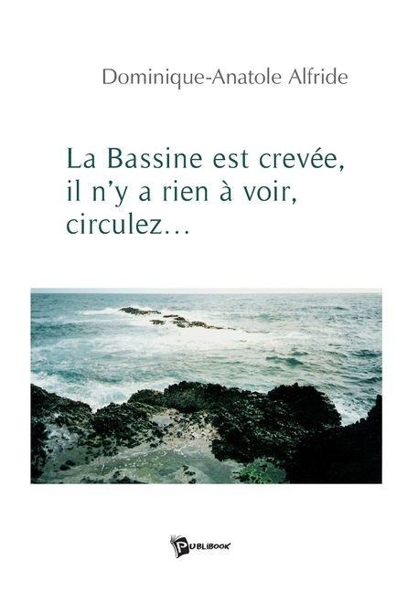 La bassine est crevée, il n'y a rien à voir, circulez... - Anatole Dominique Alfride