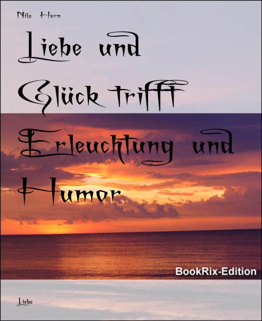 Liebe und Glück trifft Erleuchtung und Humor - Nils Horn