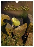 Wellensittiche (Wandkalender 2026 DIN A4 hoch), CALVENDO Monatskalender - Martina Berg