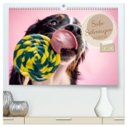 Cover-Bild zum Titel 'Süße Schnauzen (hochwertiger Premium Wandkalender 2026 DIN A2 quer), Kunstdruck in Hochglanz' von 'Annabell Gsödl'