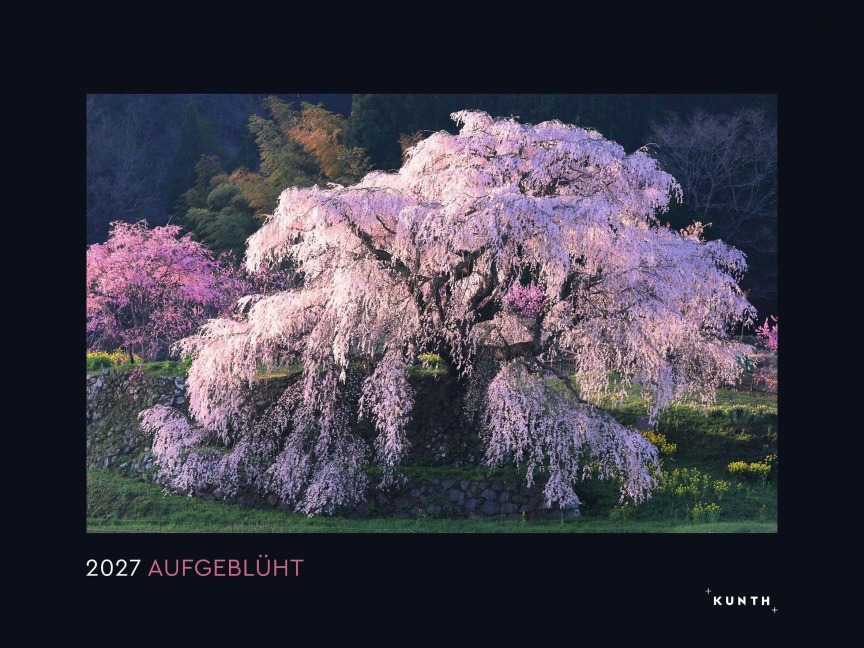 Aufgeblüht - KUNTH Wandkalender 2027 - 