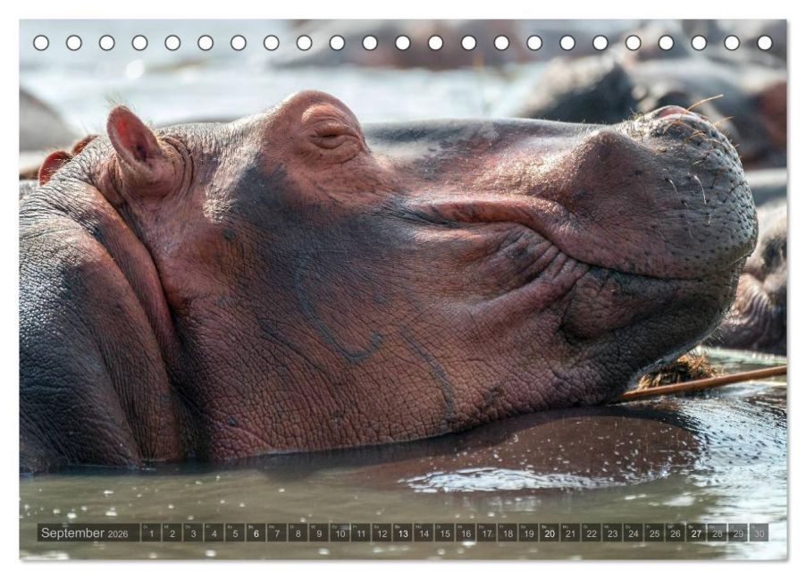 InsideView 14