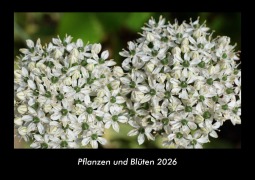 Cover-Bild zum Titel 'Pflanzen und Blüten 2026 Fotokalender DIN A3' von 'Tobias Becker'