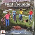 Cover-Bild zum Titel '143/und die verschwundene Riesenschildkröte' von 'Fünf Freunde'