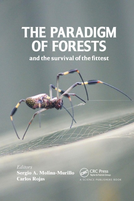 The Paradigm of Forests and the Survival of the Fittest - 