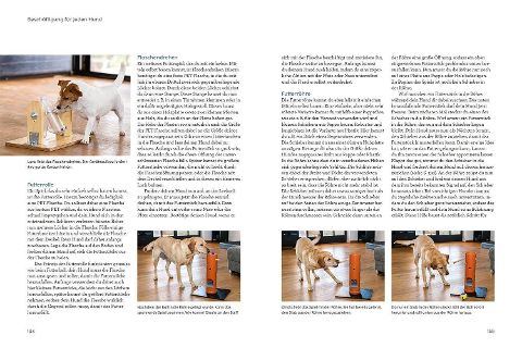 InsideView 5