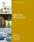 Cover-Bild zum Titel 'Biomass, Biofuels, Biochemicals' von ''