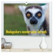 Cover-Bild zum Titel 'Madagaskars wundersame Tierwelt (hochwertiger Premium Wandkalender 2026 DIN A2 quer), Kunstdruck in Hochglanz' von 'Antje Hopfmann'