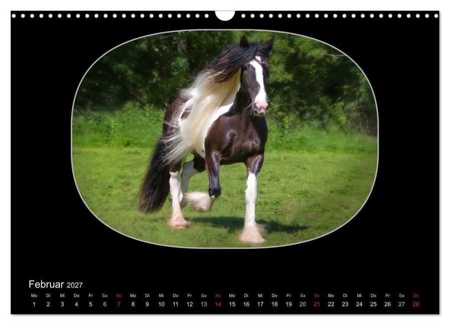 InsideView 7