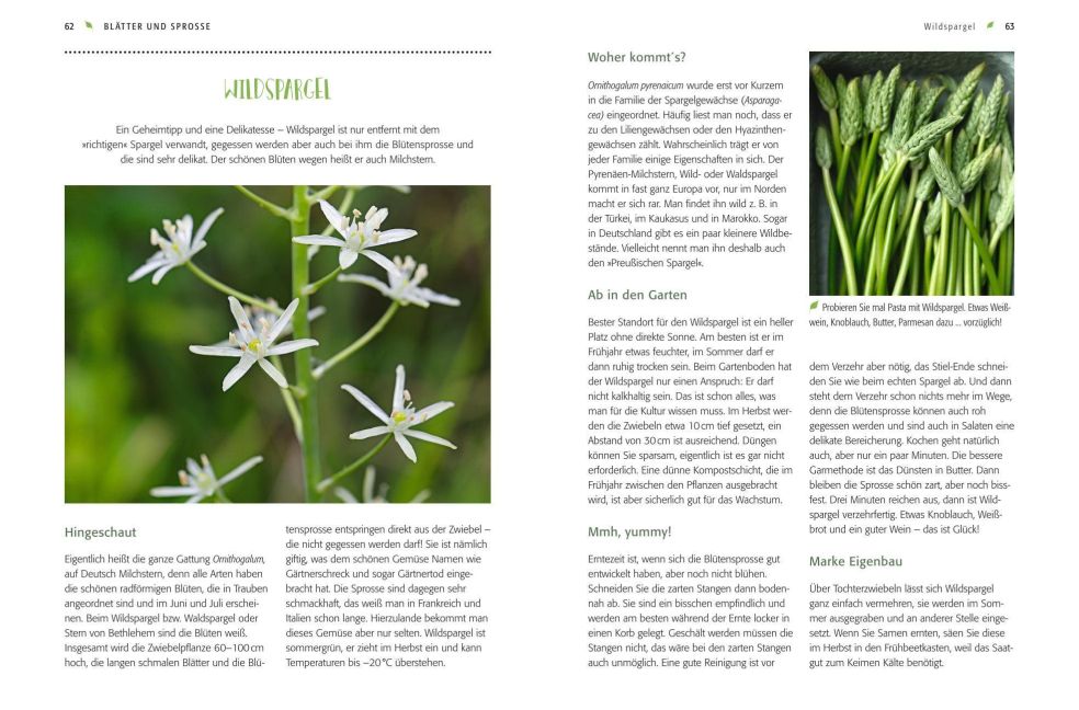 InsideView 5