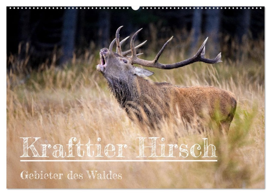 Krafttier Hirsch (Wandkalender 2026 DIN A2 quer), CALVENDO Monatskalender - Schörkhuber Johann