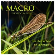 Cover-Bild zum Titel 'MACRO PHOTOGRAPHIE Beauté Cachée de la Nature (Calendrier mural carré 2026 30x30 cm) Calendrier double avec une page pour vos prises de notes' von 'Thierry Planche'