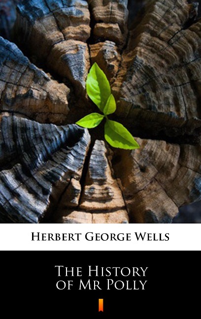 The History of Mr Polly - Herbert George Wells