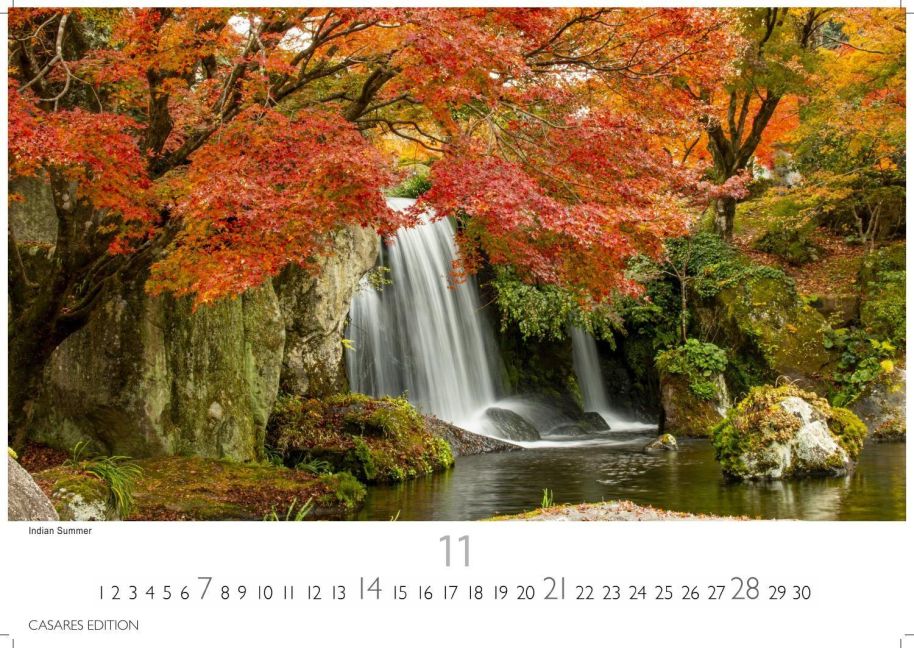 InsideView 11