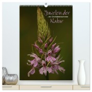 Cover-Bild zum Titel 'Juwelen der Natur - Ein Orchideensommer (hochwertiger Premium Wandkalender 2027 DIN A2 hoch), Kunstdruck in Hochglanz' von 'Dirk Stamm'