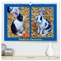 Niedliche Kaninchen (hochwertiger Premium Wandkalender 2024 DIN A2 quer), Kunstdruck in Hochglanz - Kattobello Kattobello