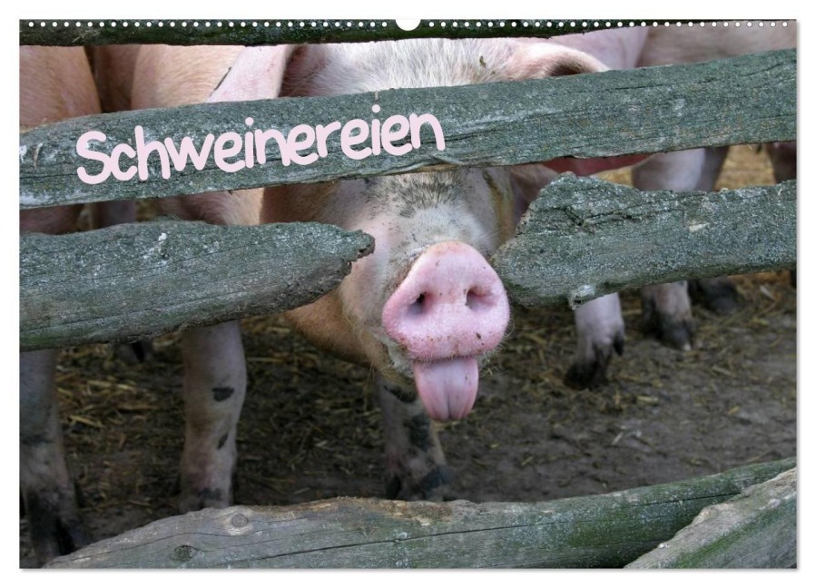 Schweinereien (Wandkalender 2027 DIN A2 quer), CALVENDO Monatskalender - Martina Berg