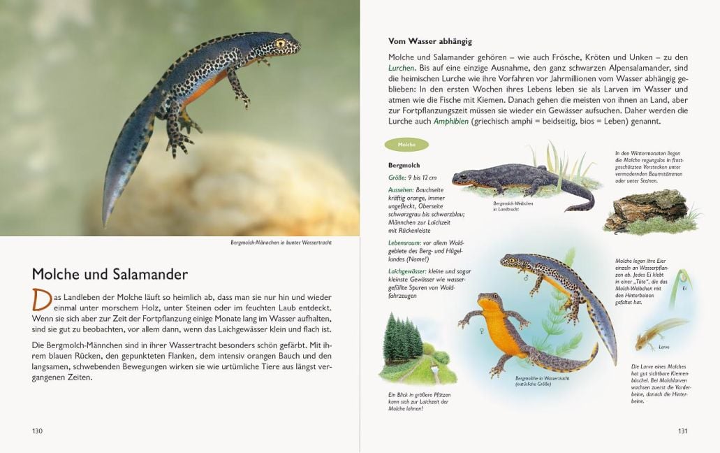 InsideView 15