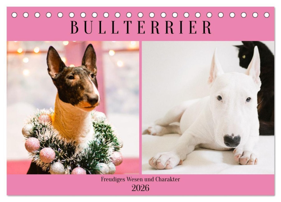 Bullterrier. Freudiges Wesen und Charakter (Tischkalender 2026 DIN A5 quer), CALVENDO Monatskalender - Rose Hurley