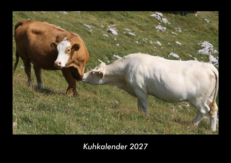 Kuhkalender 2027 Fotokalender DIN A3 - Tobias Becker