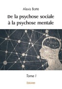 Cover-Bild zum Titel 'De la psychose sociale à la psychose mentale - Tome 1' von 'Alexis Botté'