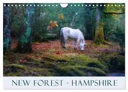 Cover-Bild zum Titel 'New Forest Hampshire (Wall Calendar 2026 DIN A4 landscape), CALVENDO 12 Month Wall Calendar' von 'Joana Kruse'