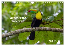 Cover-Bild zum Titel 'Farbenfrohe Vogelwelt (Wandkalender 2026 DIN A4 quer), CALVENDO Monatskalender' von 'Marion Springer'