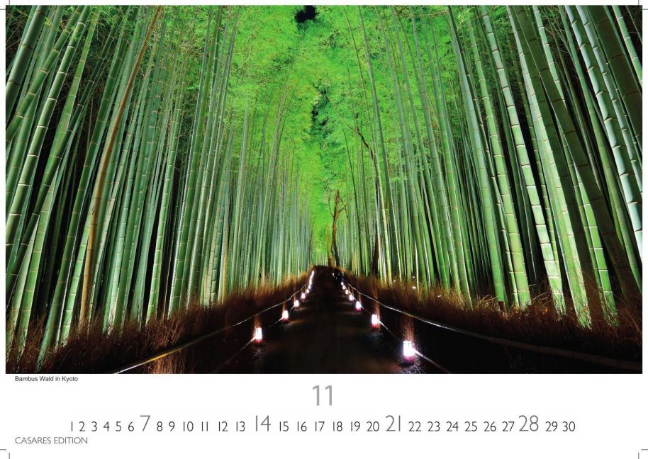 InsideView 11