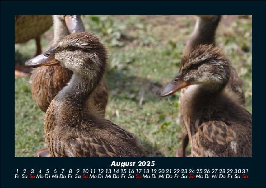 InsideView 12