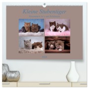 Cover-Bild zum Titel 'Kleine Stubenstiger (hochwertiger Premium Wandkalender 2026 DIN A2 quer), Kunstdruck in Hochglanz' von 'Janina Bürger'